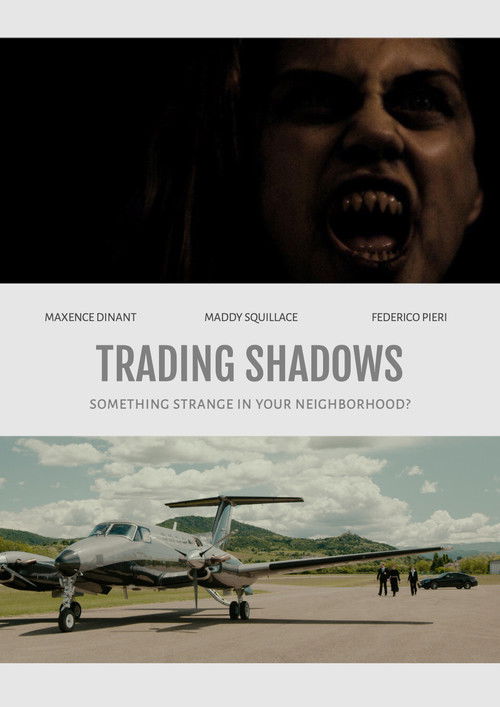 Trading Shadows (2021) poster