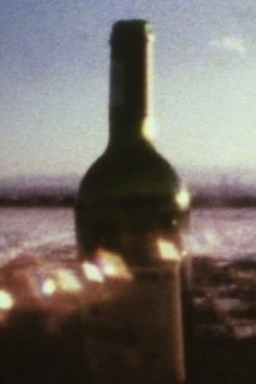 Discrepant Sight (2003) poster