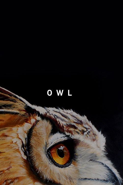 Owl (2019) poster