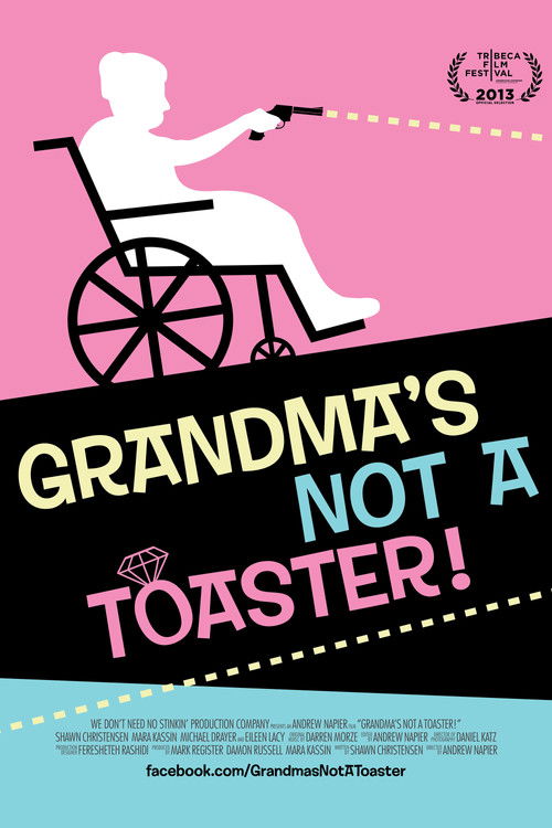 Grandma's Not a Toaster (2013) poster
