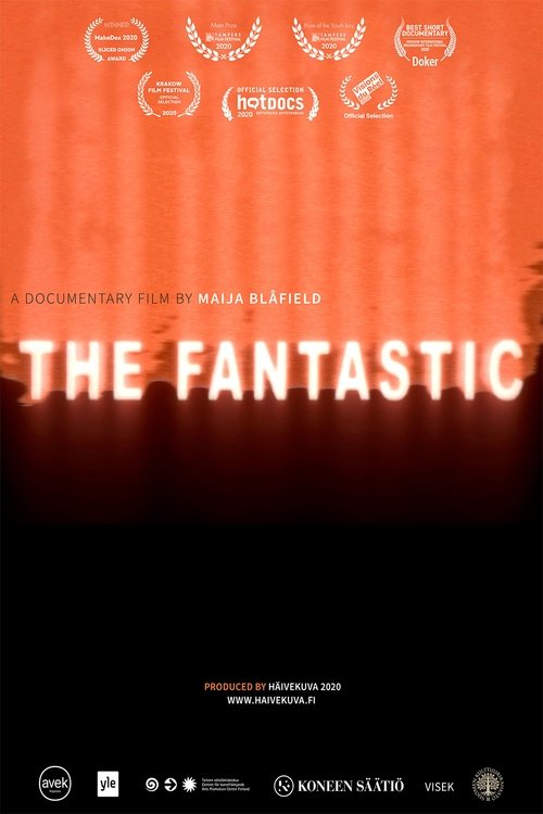 The Fantastic (2021) poster
