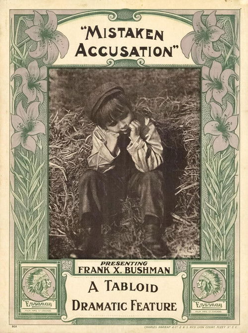 A Mistaken Accusation (1913) poster