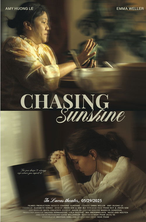 Chasing Sunshine poster