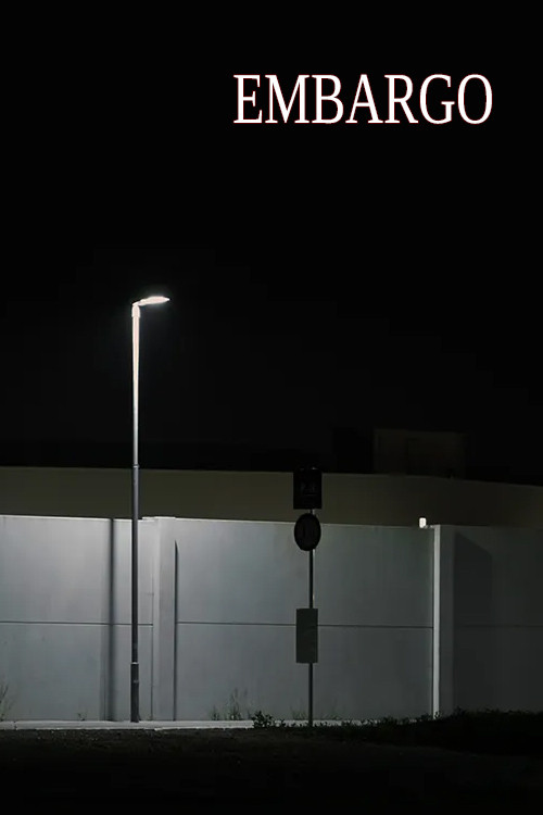 EMBARGO (2014) poster