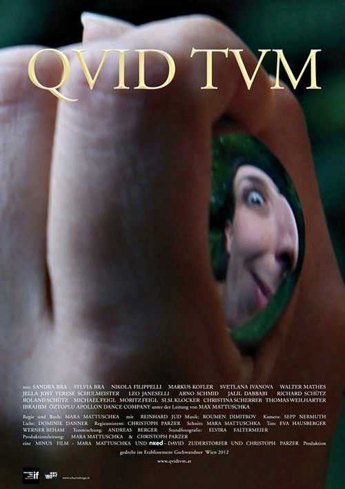 Qvid Tvm (2012) poster