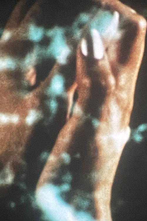 Transmigration (1973) poster