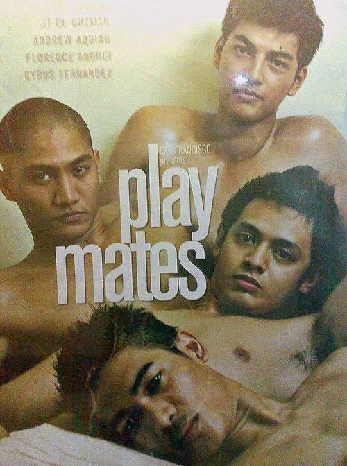 Playmates (2011) poster