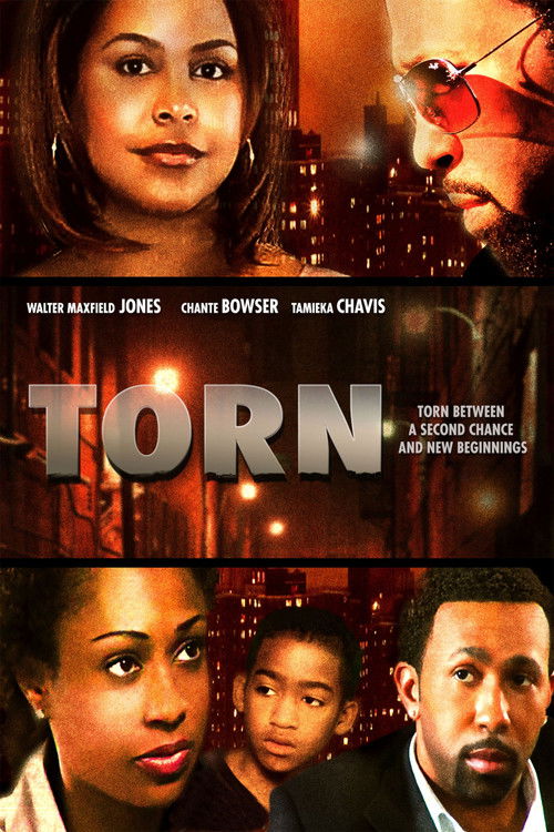Torn (2010) poster