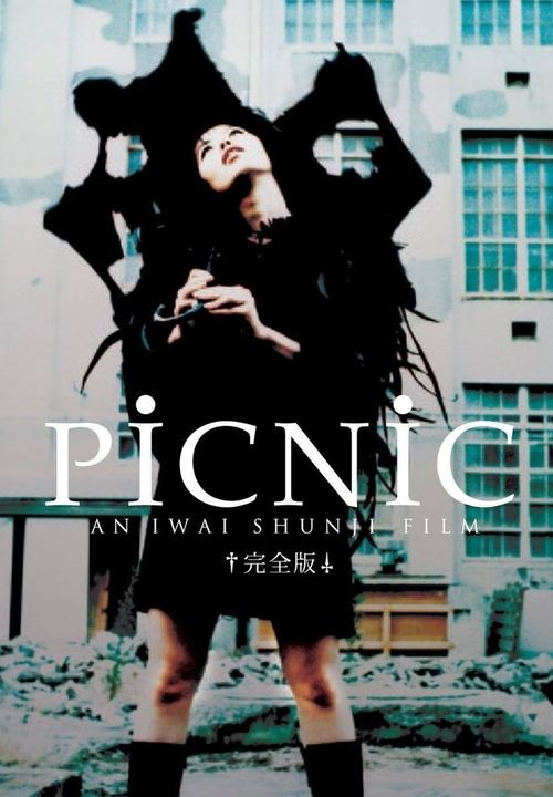 PiCNiC (1996) poster