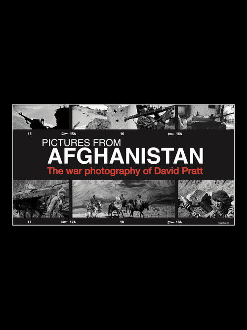 Pictures from Afghanistan (2020) poster