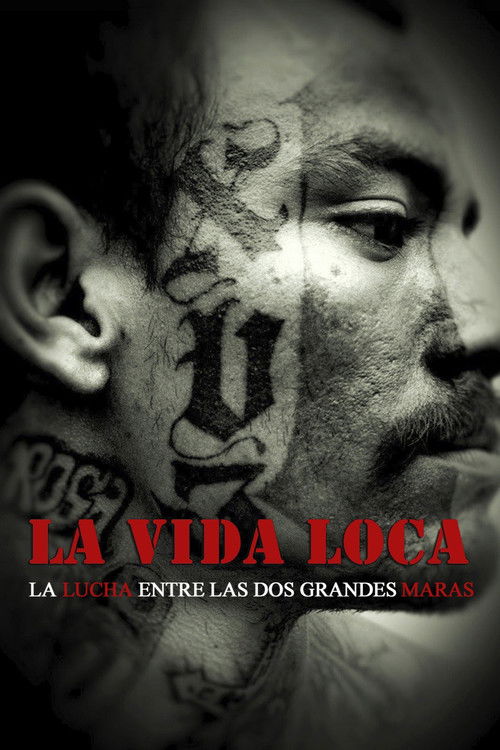 La vida loca (2008) poster