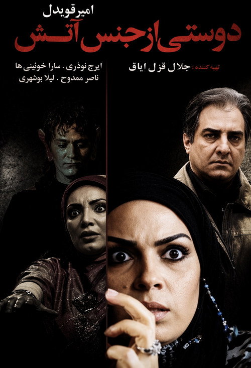 دوستی از جنس آتش (2009) poster