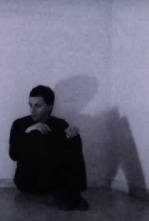 Fever Dream (2008) poster