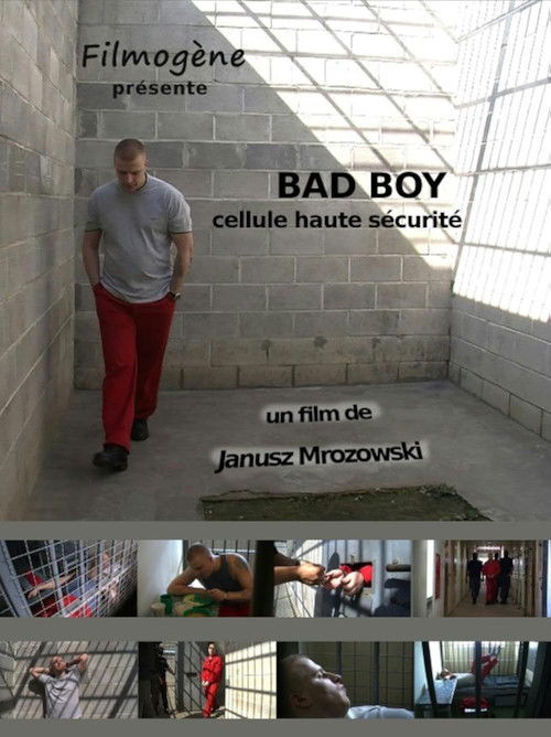 Bad Boy (2012) poster