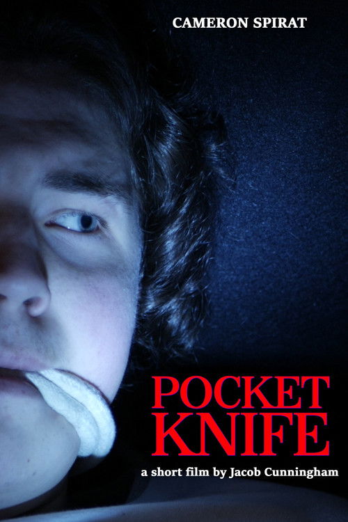 Pocket Knife (2020) poster