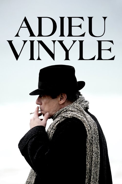 Goodbye Vinyle (2023) poster
