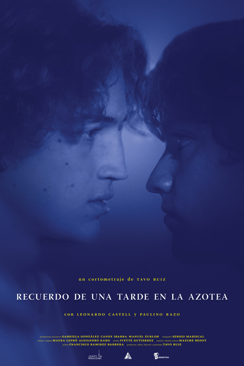 Memory of an Afternoon on the Roof (2022) poster