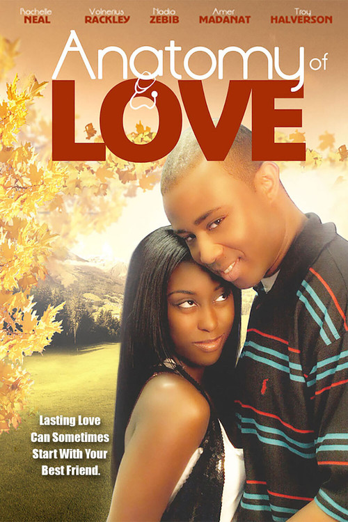 Anatomy of Love (2010) poster