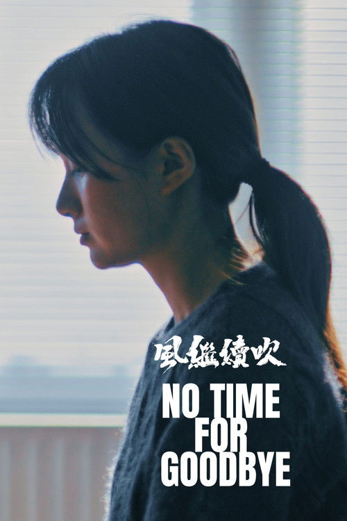 No Time For Goodbye (2025) poster