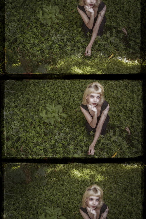 o céu diante dos meus olhos nunca é cinza (2025) poster