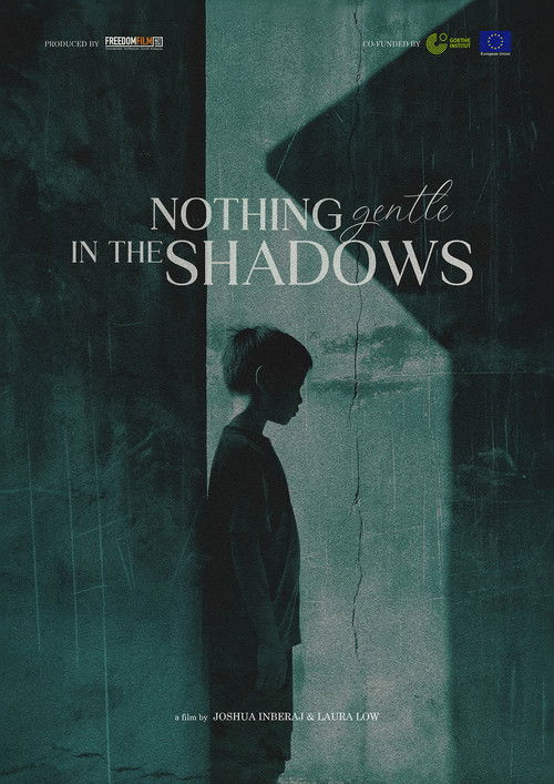 Nothing Gentle in the Shadows (2024) poster