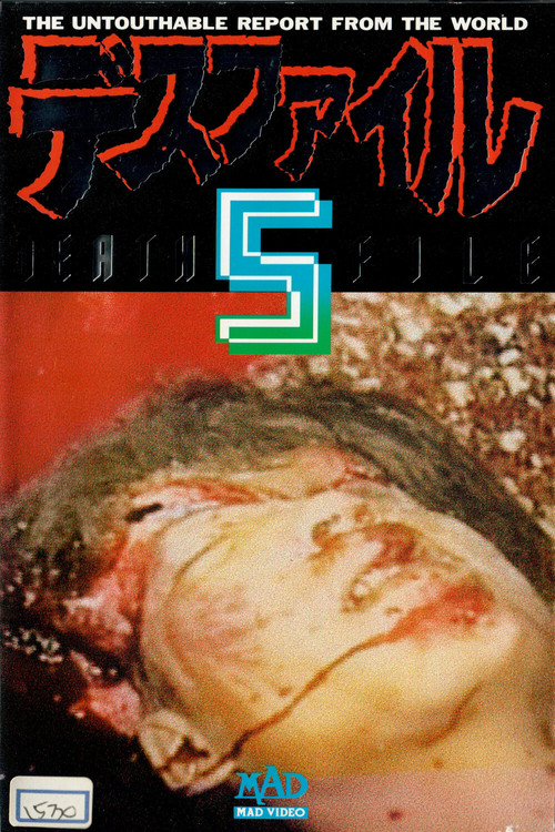 Death File 5 (1991) poster