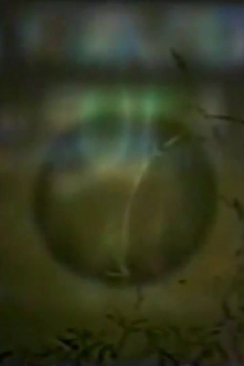 Up to West House Alone (1998) poster