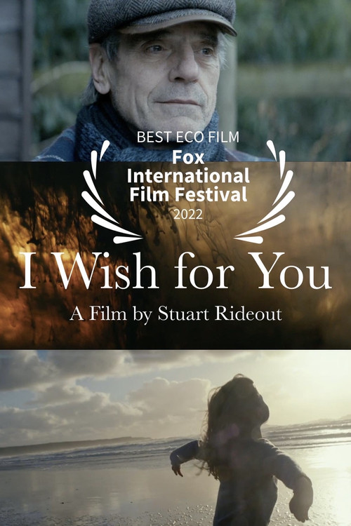 I Wish For You (2016) poster