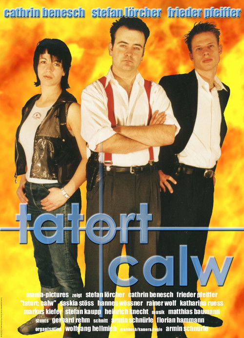 Tatort Calw - Tödliche Rache (2001) poster