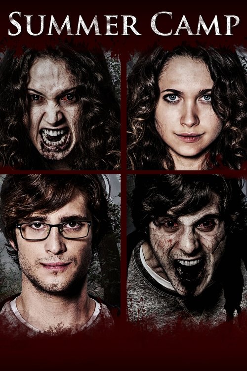 Yaz Kampı (2016) poster