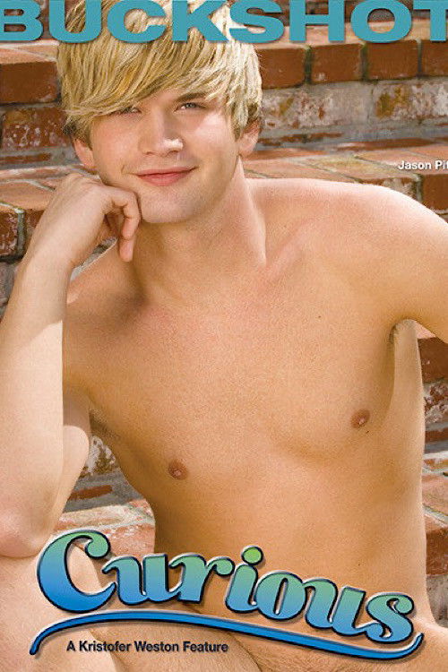 Curious (2009) poster