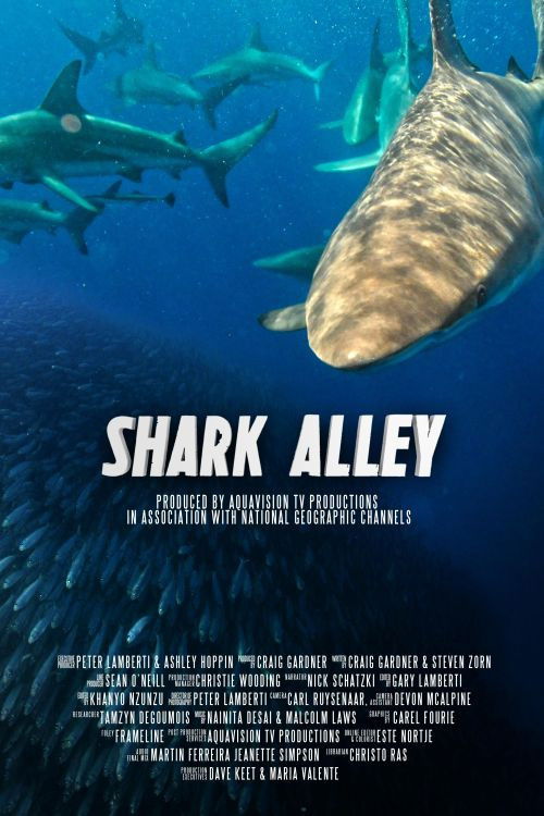 Shark Alley (2015) poster