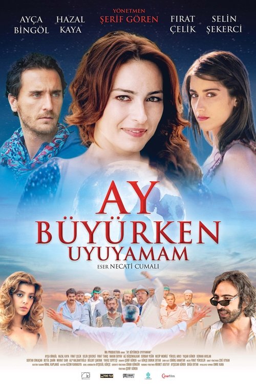 Ay Büyürken Uyuyamam (2011) poster