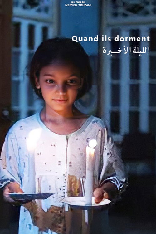 The Last Night (2012) poster