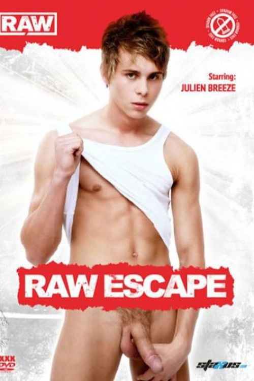 Raw Escape (2013) poster
