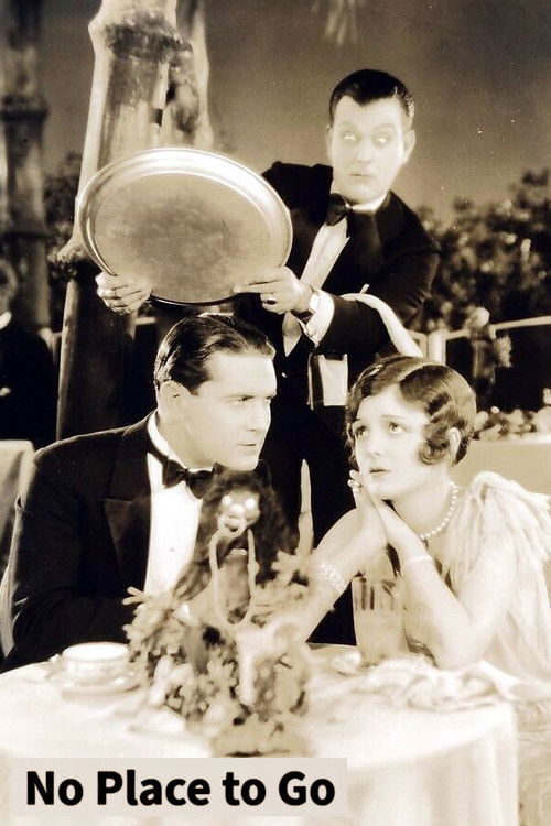 No Place to Go (1927) poster