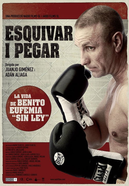 Esquivar y pegar (2010) poster