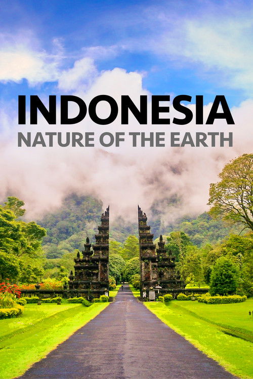 Indonesia Nature of the Earth (2022) poster