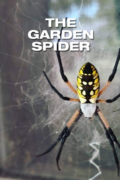 The Garden Spider (1952) poster