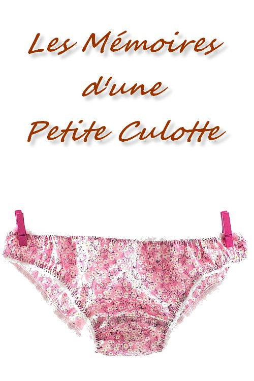 Les Mémoires d'une petite culotte (1984) poster
