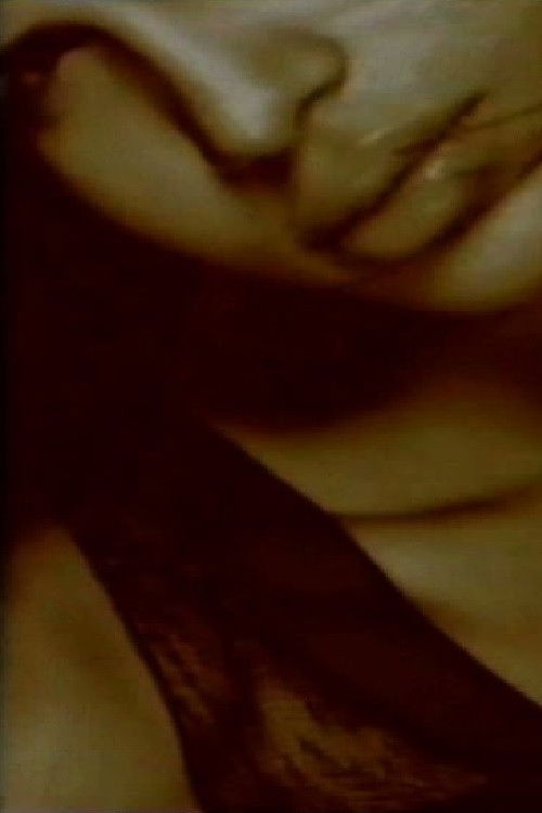 Iskrivljeni odrazi (2001) poster