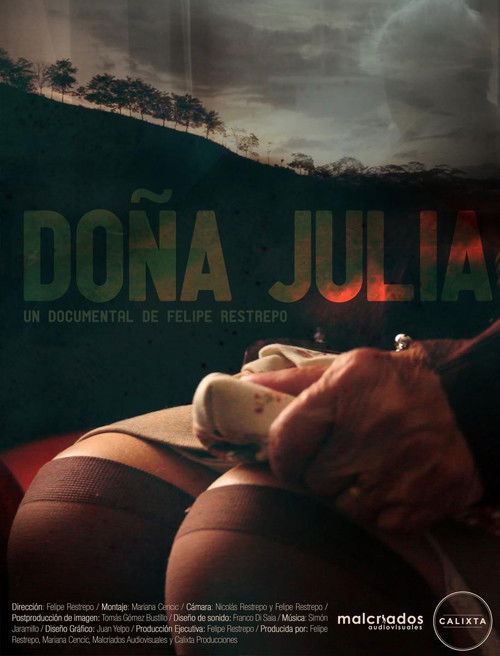 Doña Julia (2014) poster