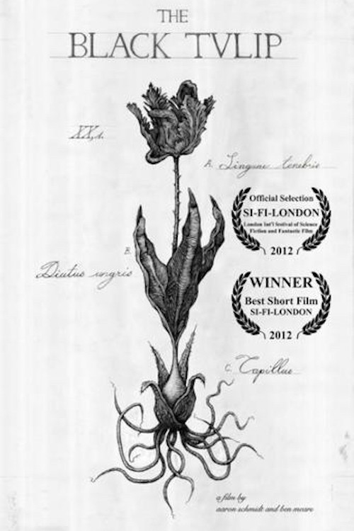 The Black Tulip (2013) poster