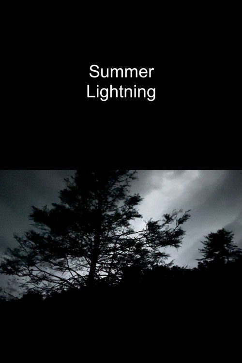 Summer Lightning (2022) poster