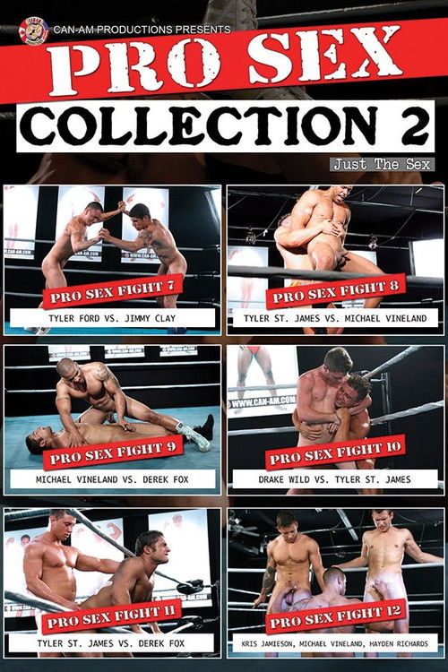 PRO SEX COLLECTION 2 (2020) poster