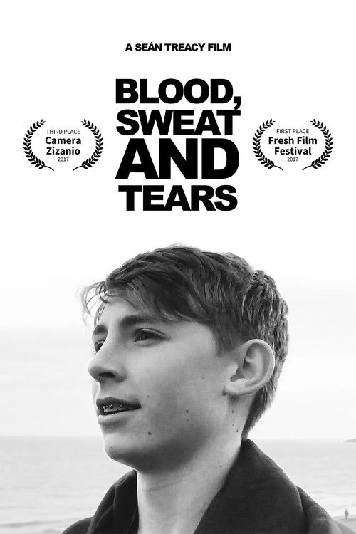Blood, Sweat and Tears (2017) poster