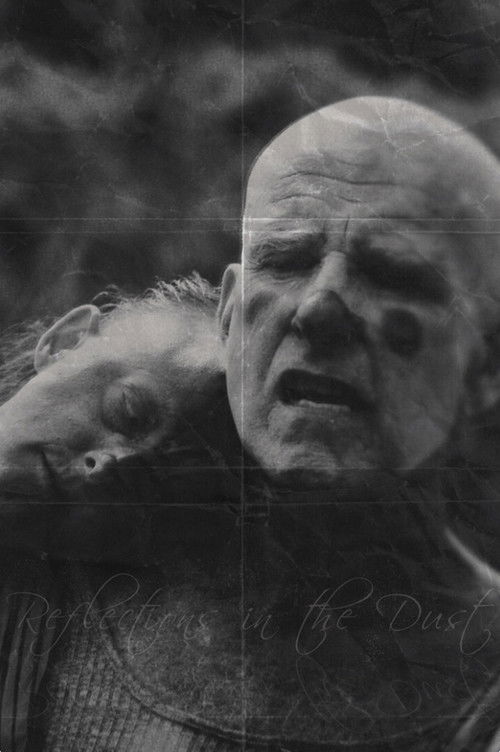 Reflections in the Dust (2019) poster