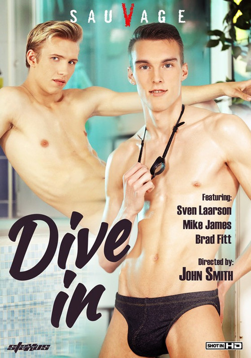 Dive In (2014) poster