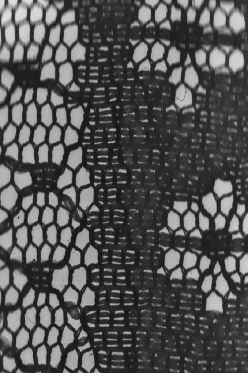 Flesh Of Flesh (2010) poster