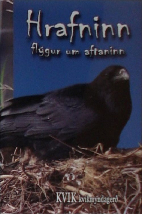 The Bird of Wisdom: The Raven (2008) poster